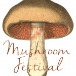 Shroom-Festival-web