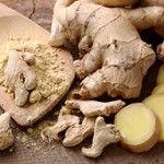 Ginger-Root-web-4in